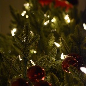 Meet your Posher, Kinlye